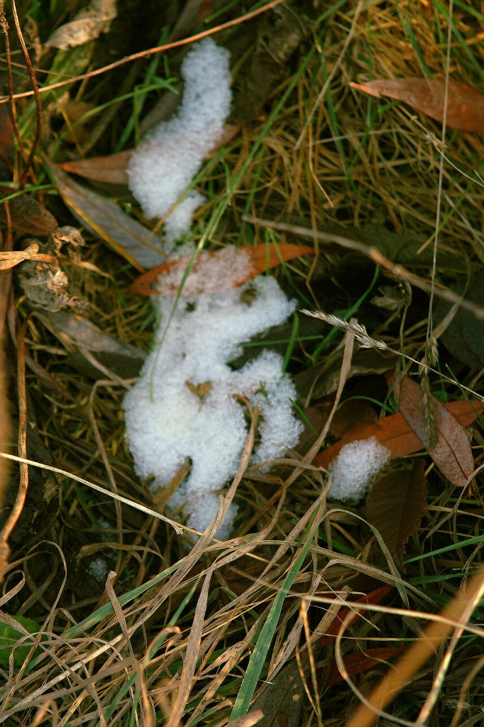Юлия Менжулова | Таганрог