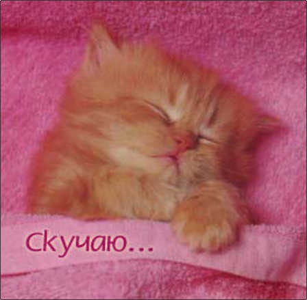 №5, Арина Зенина, Черногорск №5, Арина Зенина, Черногорск