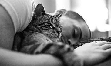 Валерий Пыхов | 