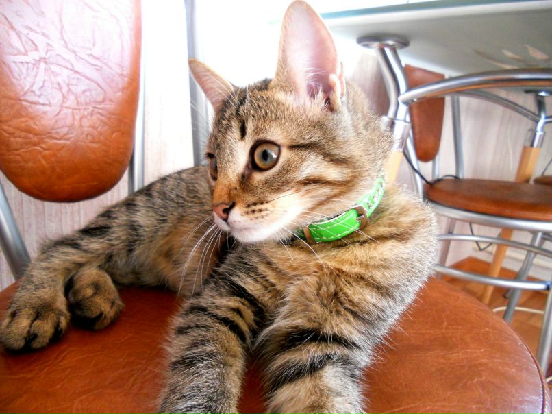 Оксана Герасимова | Москва