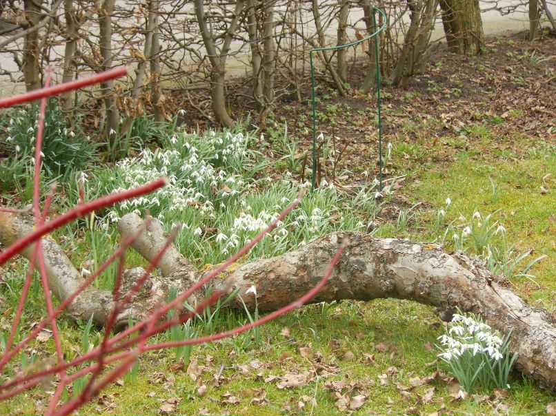 Georgij Jurkin | Hannover