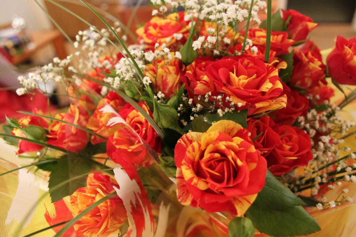 Ирина Касьянова | Череповец