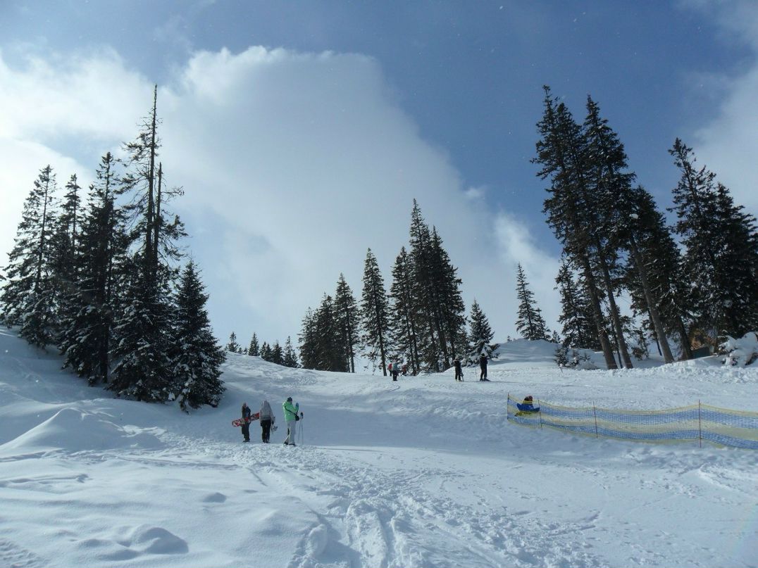 Ольчик Дедушева | Днепр (Днепропетровск)