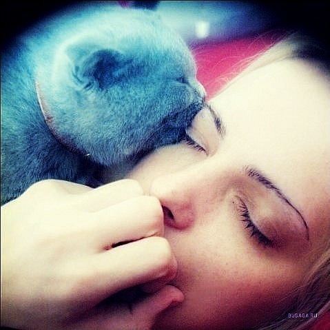 №6, Лана Абрамова №6, Лана Абрамова