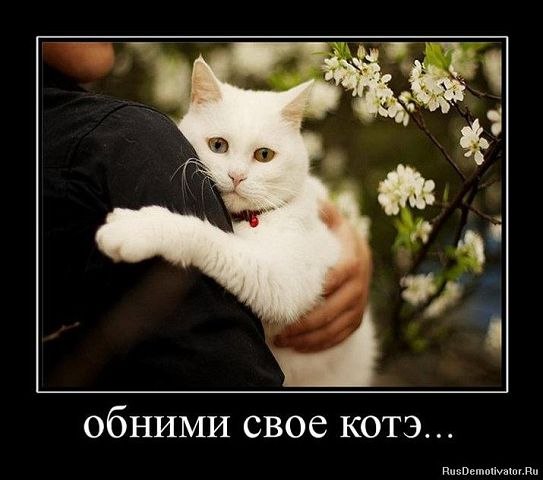 Katrin Pozdneeva | Совхоза «Россия»