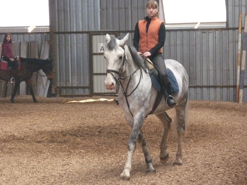 Елена Стракашина Константиновна | Москва
