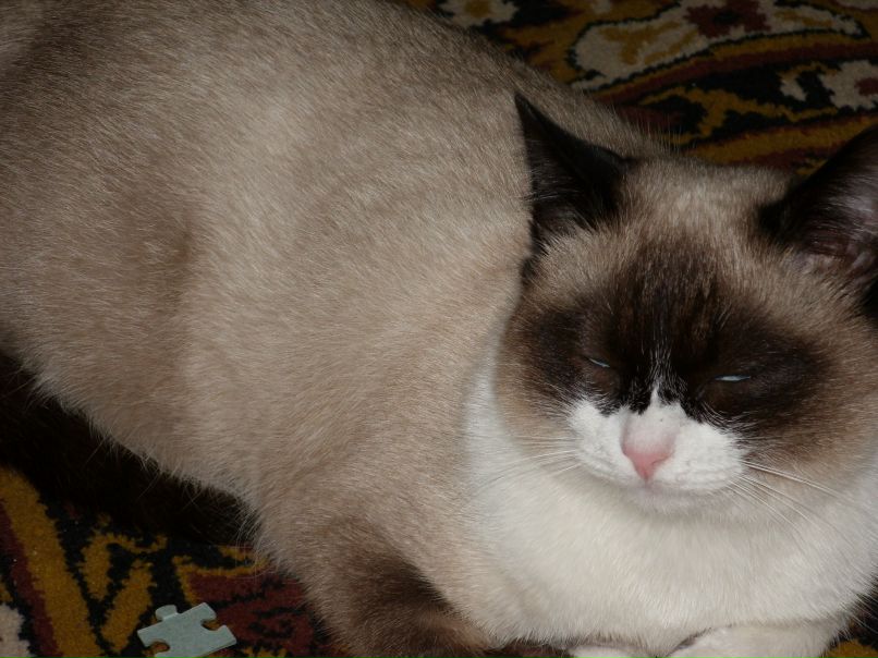 Наталья Ковалевская | Слоним