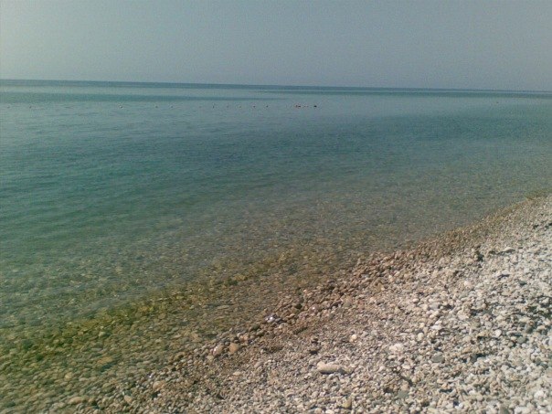 Александр Чертилин Валерьевич | Лесные Поляны