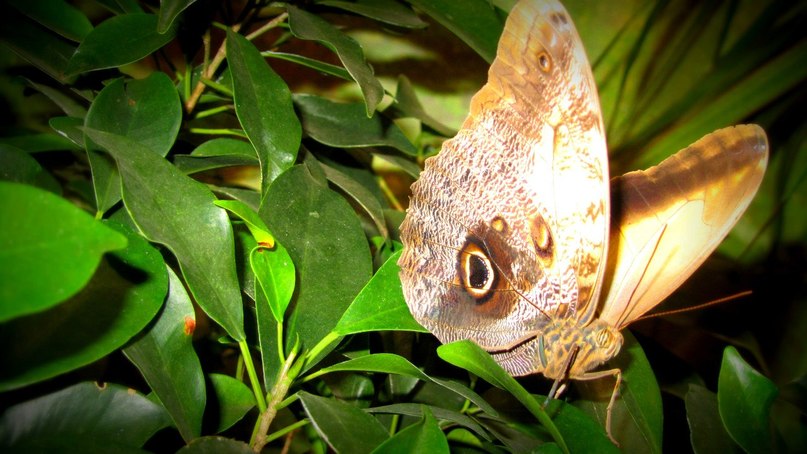 Юля Кудухова ツ | Санкт-Петербург