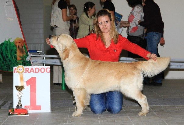 Анастасия Мирзаева | Санкт-Петербург