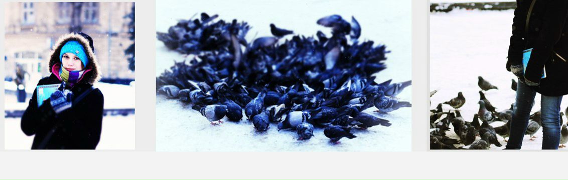 №120, Настя Ток №120, Настя Ток