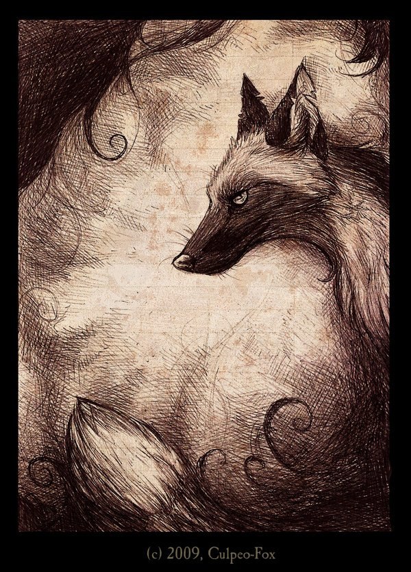 Сергей Романов | Санкт-Петербург