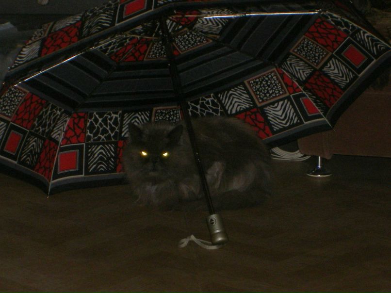 Ирина Полуянова Евгеньевна | Санкт-Петербург