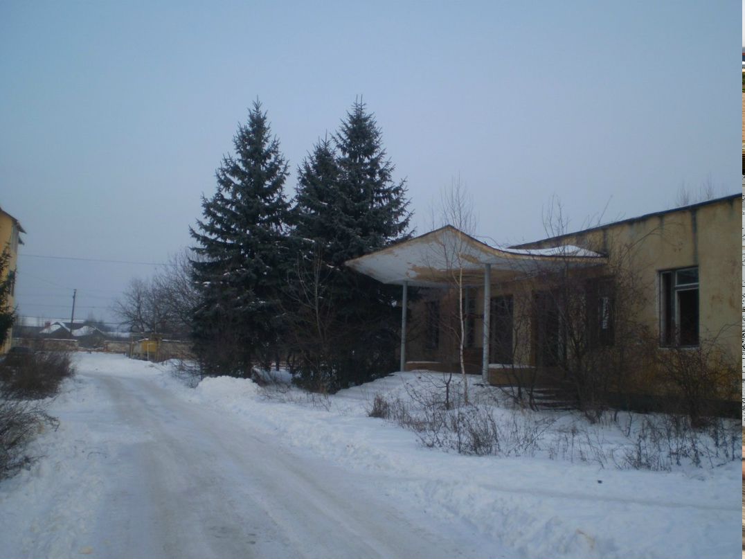 Григорий Анк | Берегово