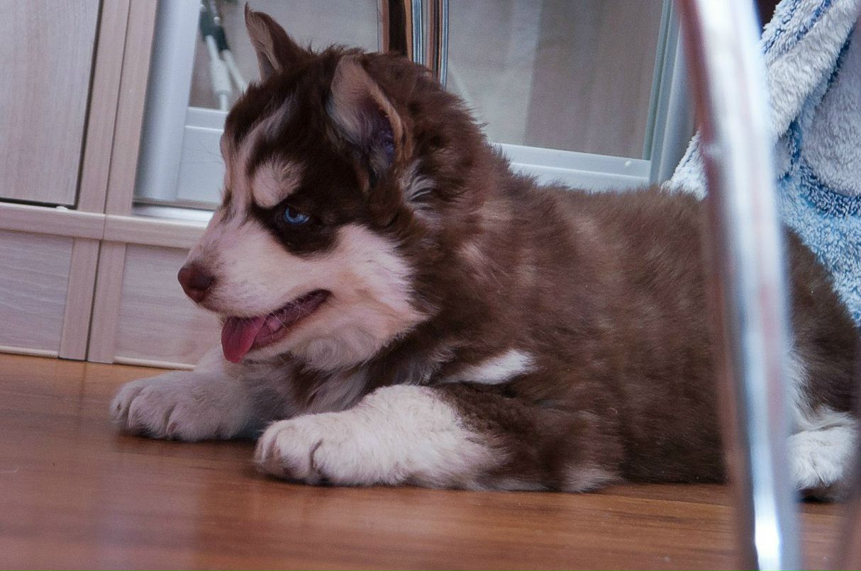 George Smirnov | Санкт-Петербург