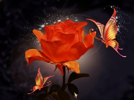 №17, Екатерина Кузнецова №17, Екатерина Кузнецова