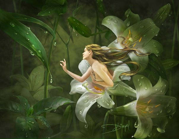 №11, Рафаэль Карапетян, Пермь №11, Рафаэль Карапетян, Пермь