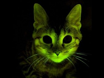 Серёга Милёшкин | Николаев