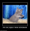 Фотография Гришина Миши