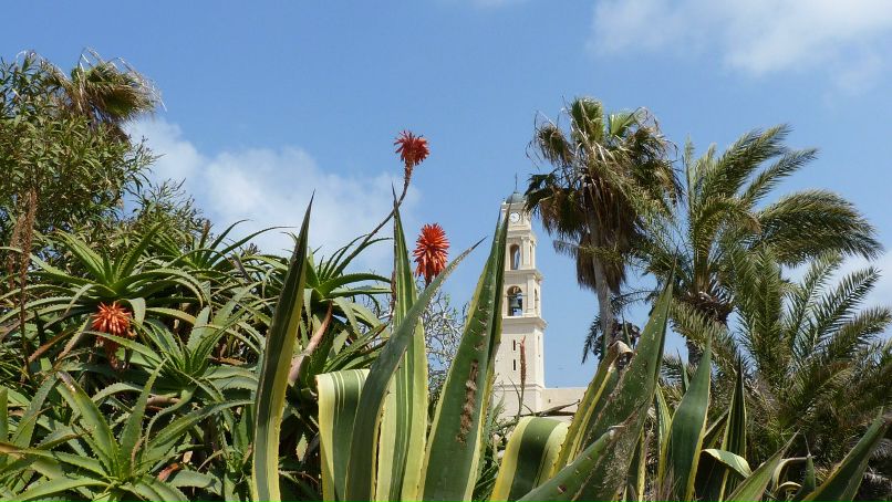 Соня Михалёва | 