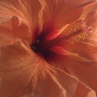 Екатерина Рудая | 