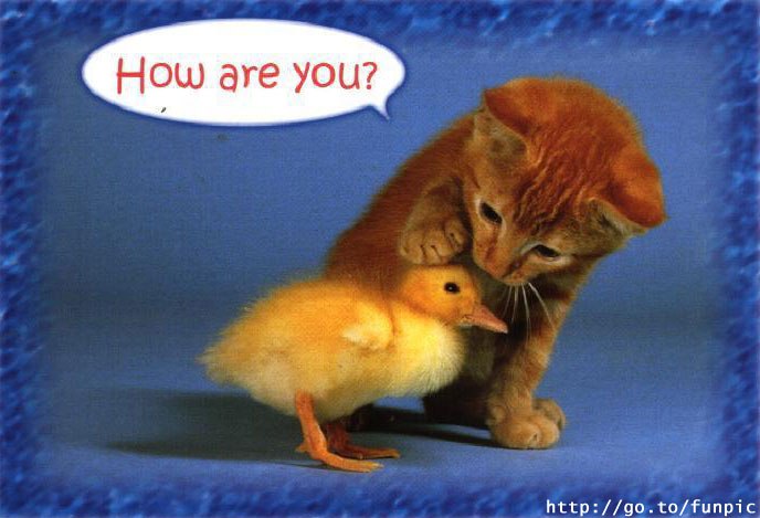 Ирина Скиба Валерьевна | 