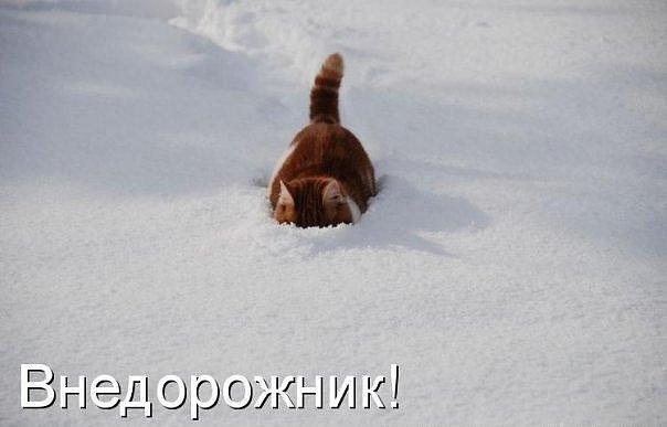 №7, Егор Катальников №7, Егор Катальников