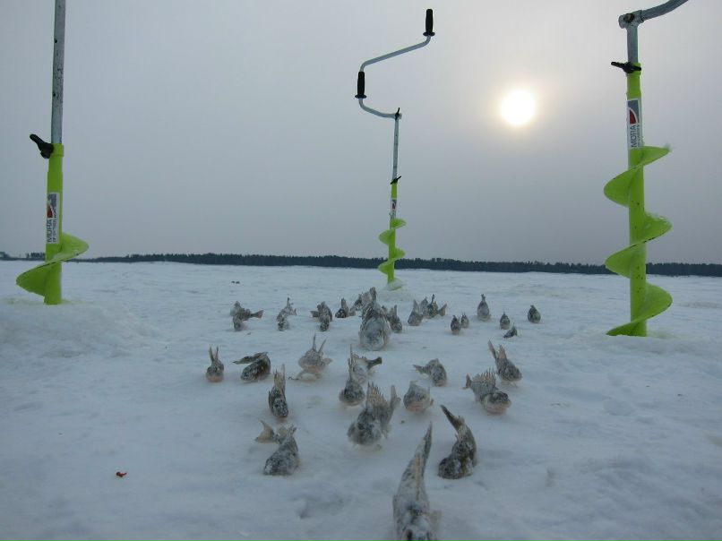 Александр Парамонов | Череповец
