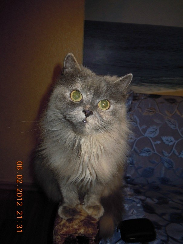 Татьяна Куклина | 