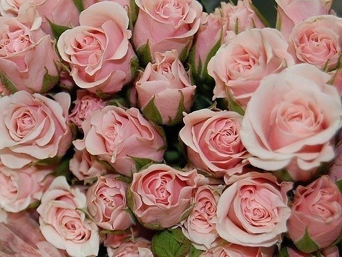 Оксана Бондарь | 