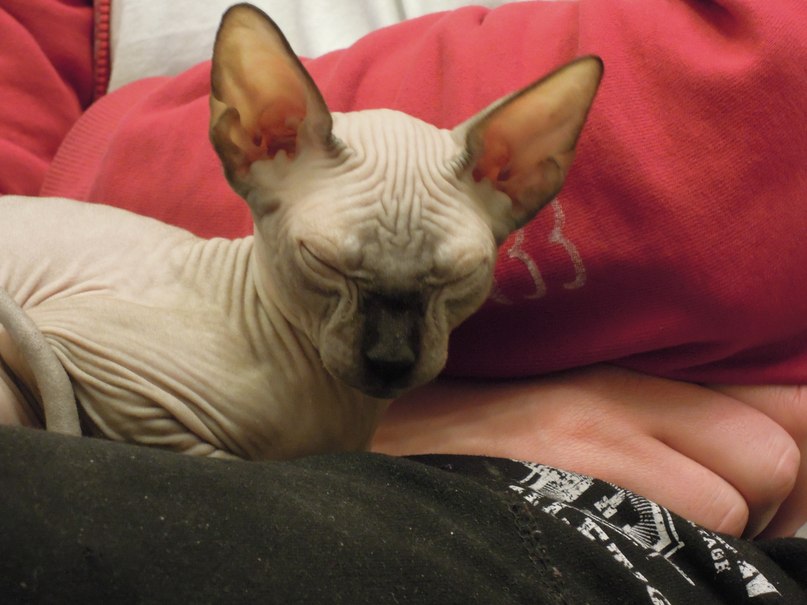 Юля Чайкина | Королёв