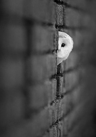 Дарья Сидоренко | Уфа