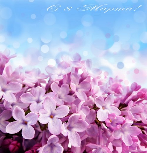 Valerka Pavlov | Москва