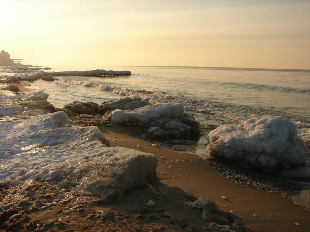 Юлия Витебская | Зеленоградск