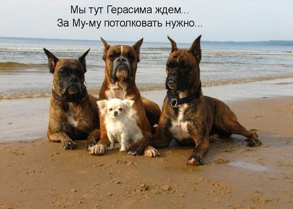 Эльмир Асылгареев | Нефтекамск