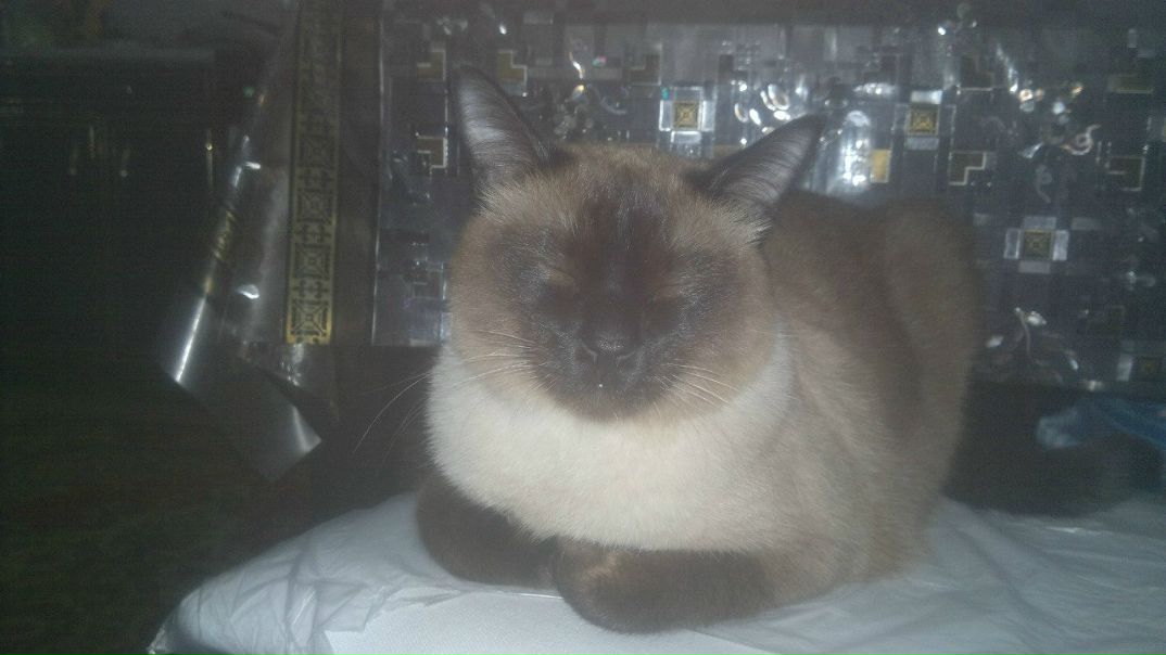 №9, Татьяна Груненышева, Москва №9, Татьяна Груненышева, Москва