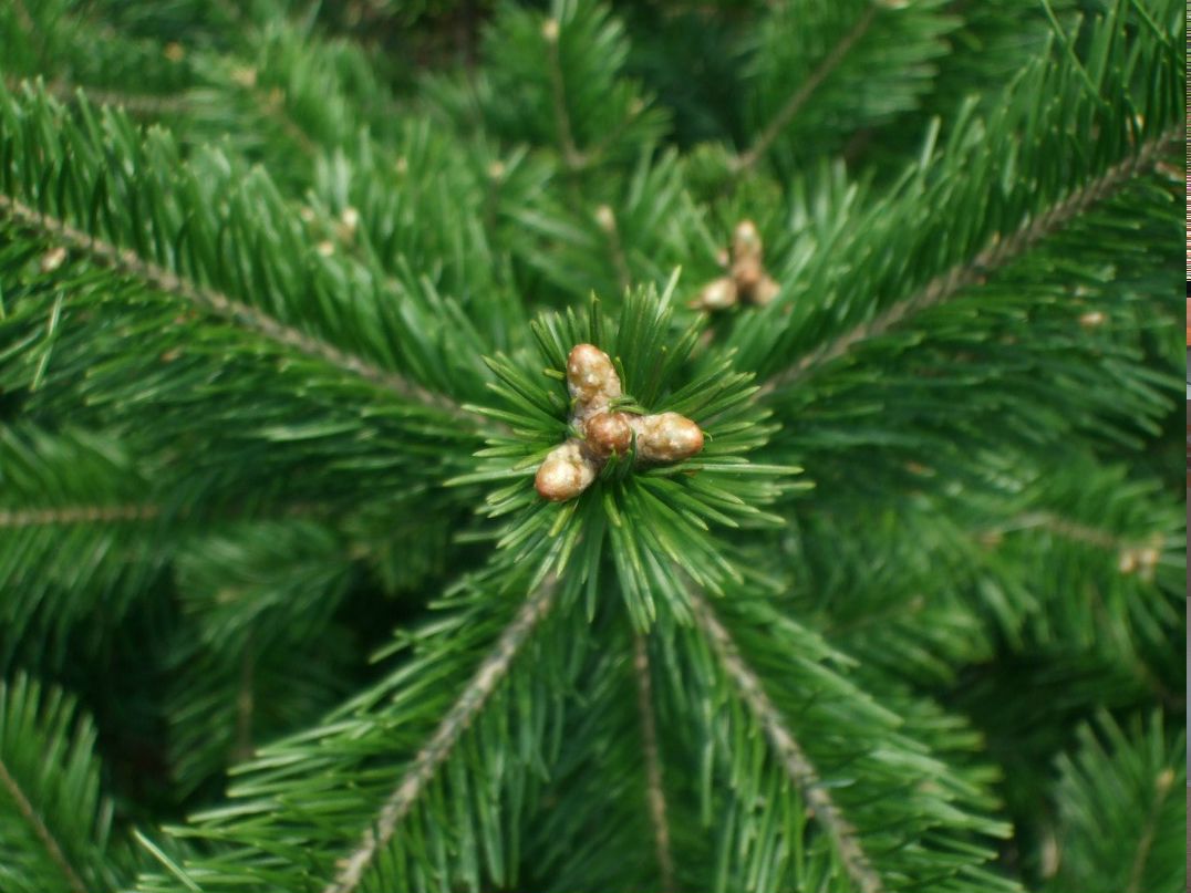 Юра Воронцов | Москва