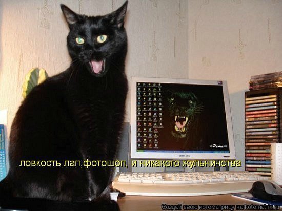 Мария Моисейчева | Киев