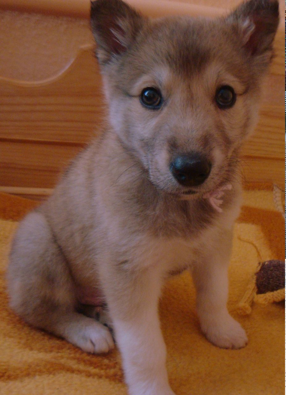 Ирина Макаренко | Киев