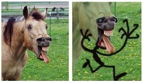 Валера Сметанин фото со стены #3