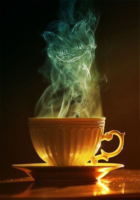 Кирилл Текучев | Калининград