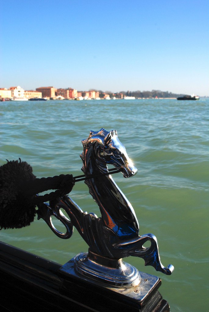 Дмитрий Гонохов ϟ | Екатеринбург