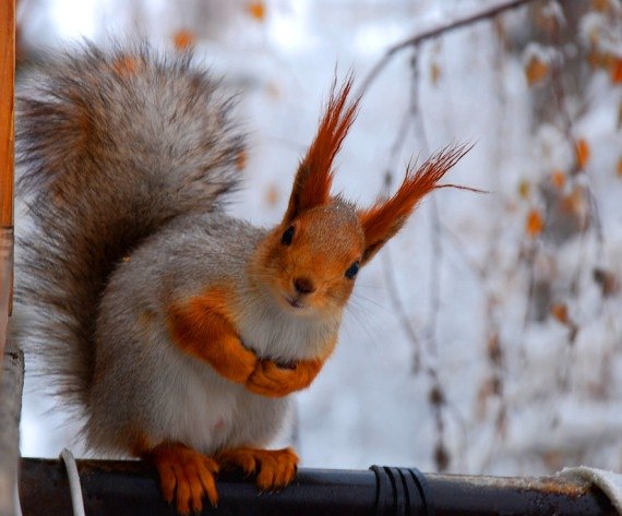 Анна Бородулина | Петрозаводск