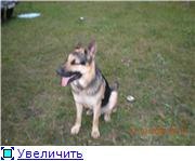 Kirill Ischenko ιlll Music is my life lllι | Глухов