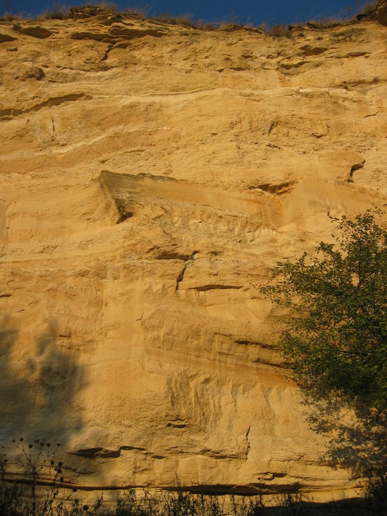 Игорь Голощенко | Тирасполь