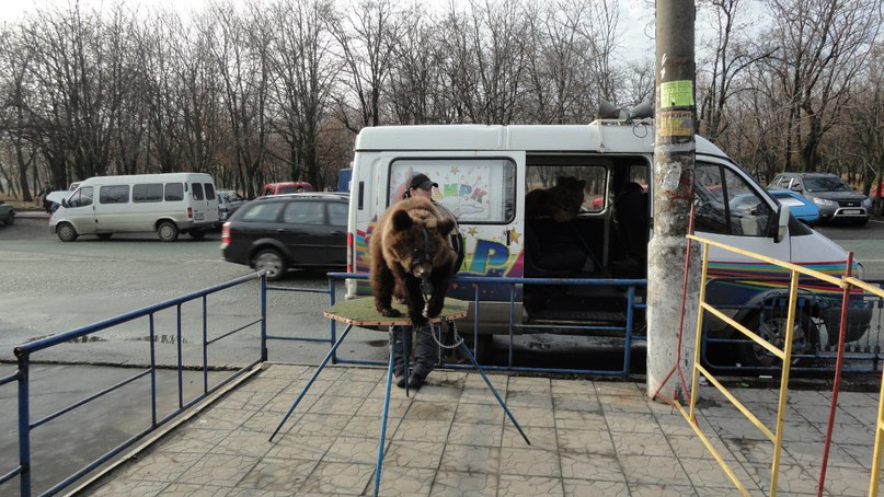 Влад Адамов vlad | Никополь