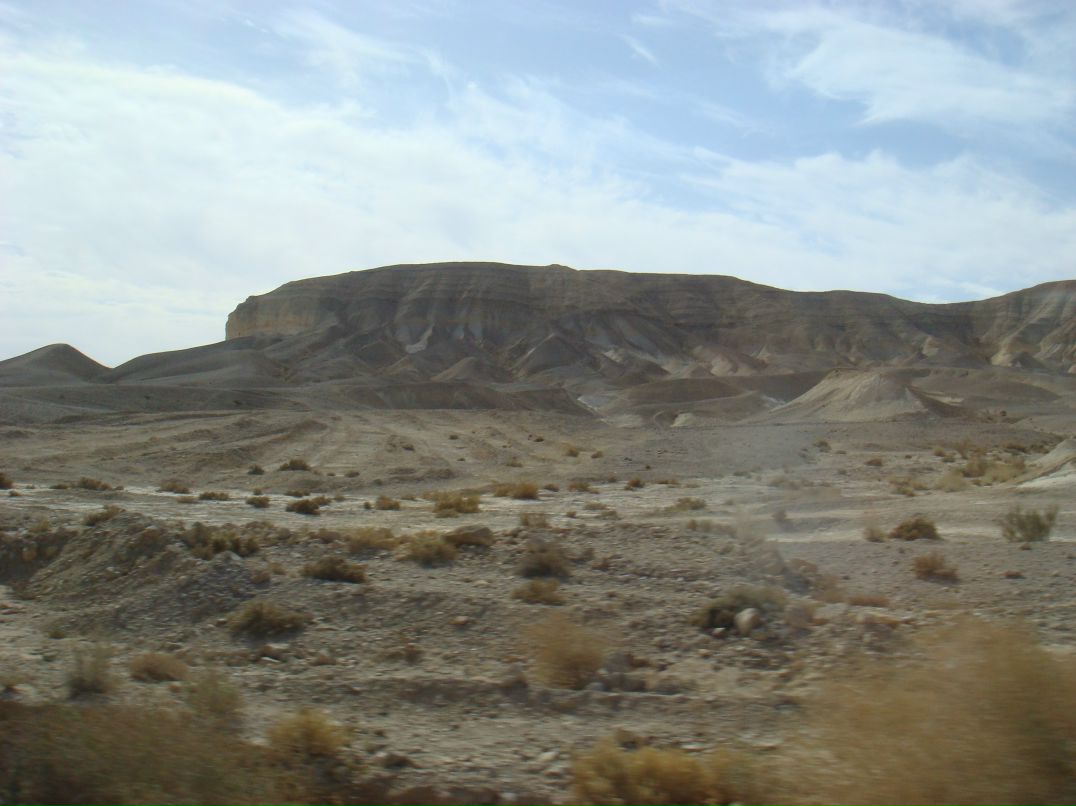 Марина Каприелова | Санкт-Петербург