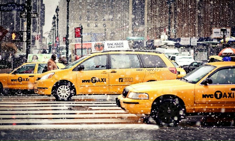 Андрей Зайченко | Санкт-Петербург