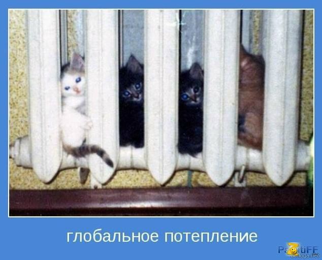 №169, Владислав Галамага №169, Владислав Галамага