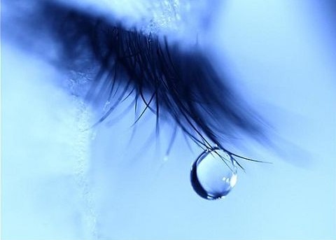 Лена Пичугина | 